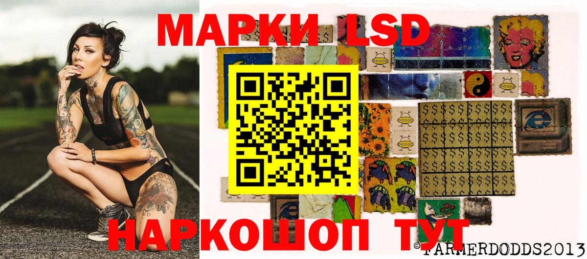 Гусев  Марки N-bome 1,5мг  Вход с VPN  Марки N-bome 1,5мг 