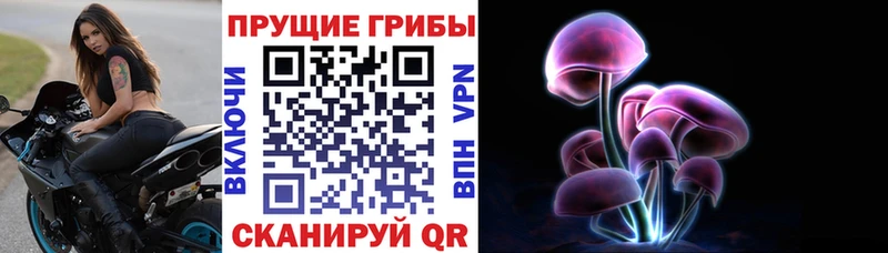 Псилоцибиновые грибы ЛСД как найти наркотики Гусев