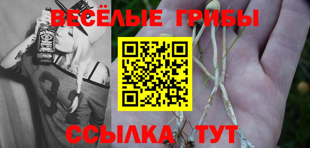 Гусев  Псилоцибиновые грибы Magic Shrooms  Вход с VPN 